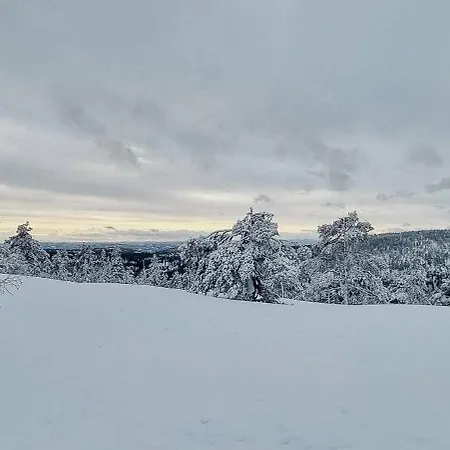 Prázdninový dům Family With Panoramic Views In Nordmarka Skien